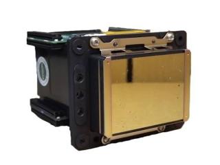 Cabeça de Impressão Dx7 Gold